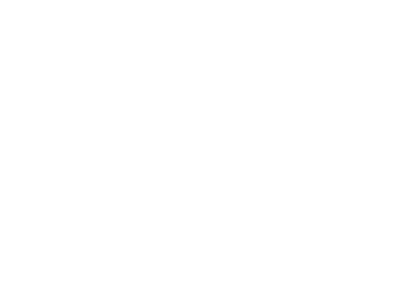Autocolante Leopardo