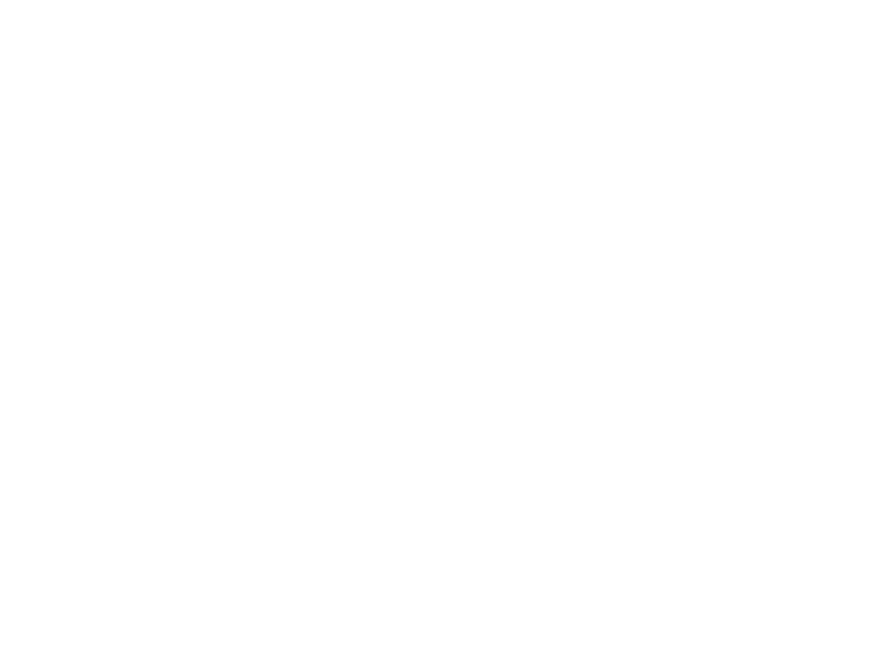 Sticker Arbre de Vie 6