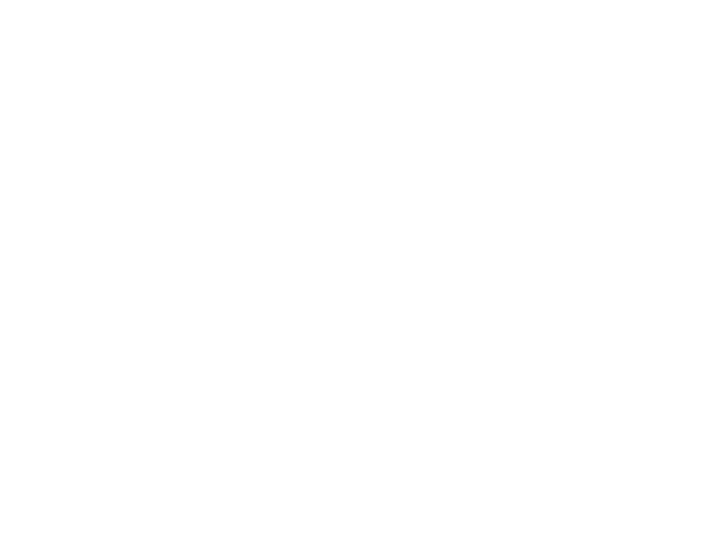 Sticker Koala à la Porte