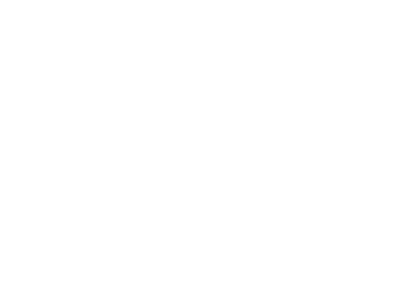 Sticker Alpiniste 3