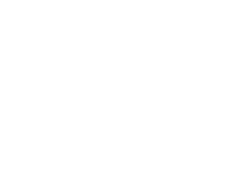 Autocolante Flores de Dente de Leão 6