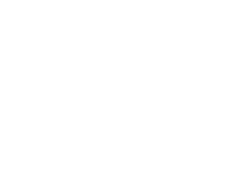 Autocolante Urso 4