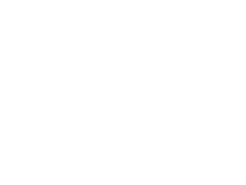 Sticker Pingouins Banquise
