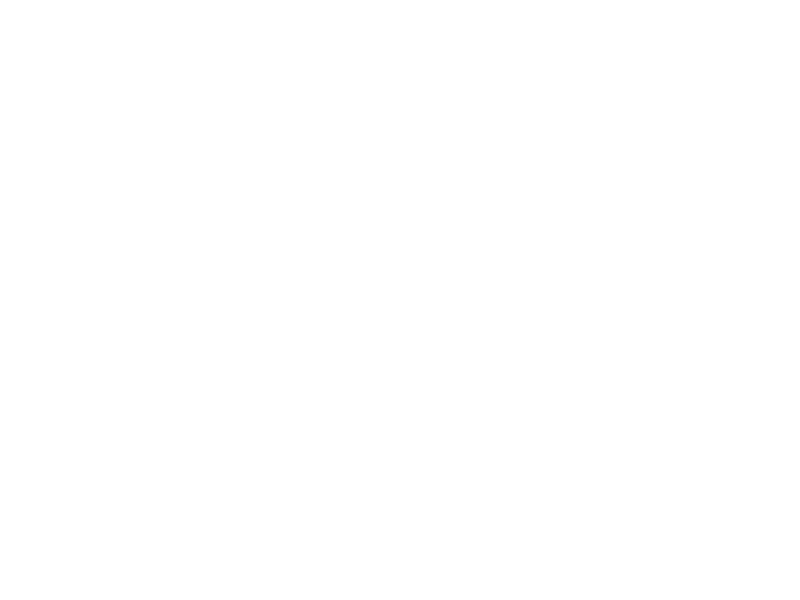 Autocolante Avião Urso
