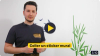 Comment poser un sticker mural (guide simple en 3 minutes) • Magic Stickers