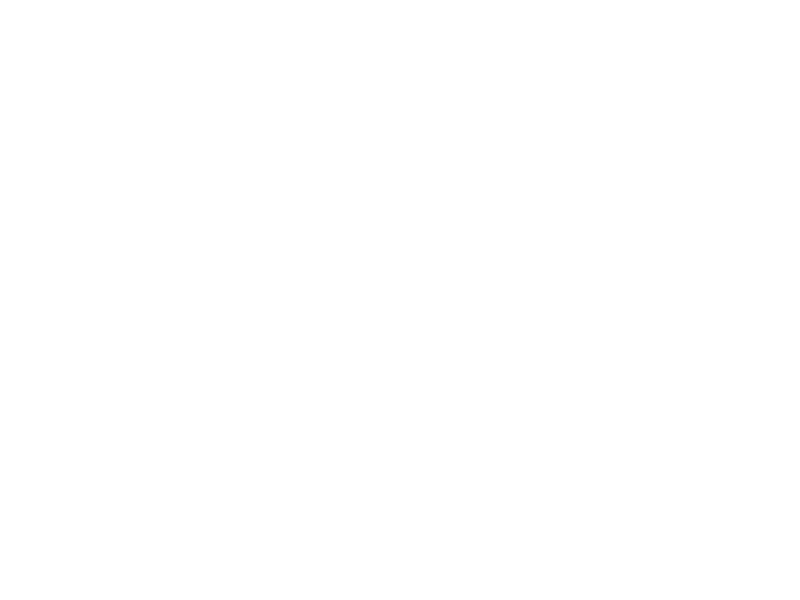 Sticker Avion de Ligne