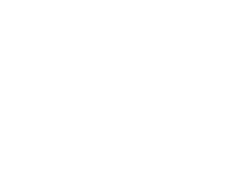 Autocolante Leopardo