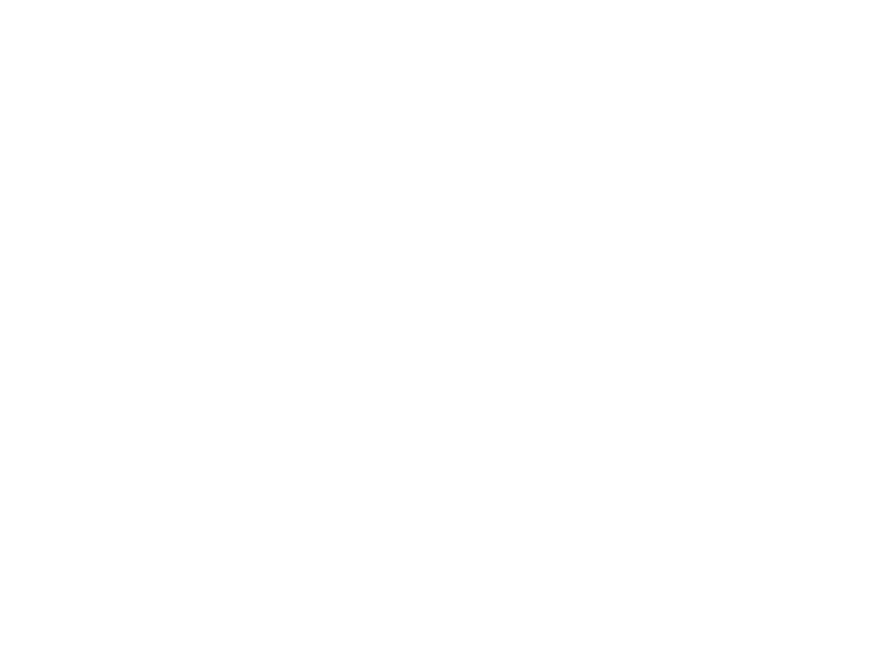 Sticker Avion Banderole