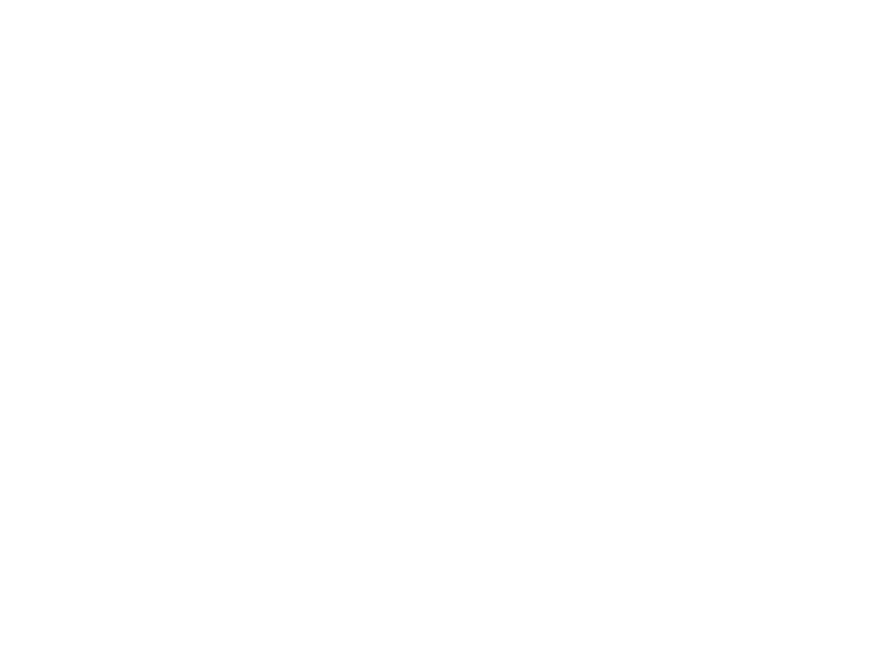 Sticker Tortue Surf