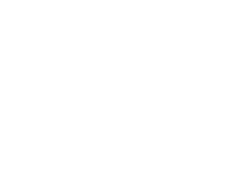Sticker Oiseau Géométrique 2
