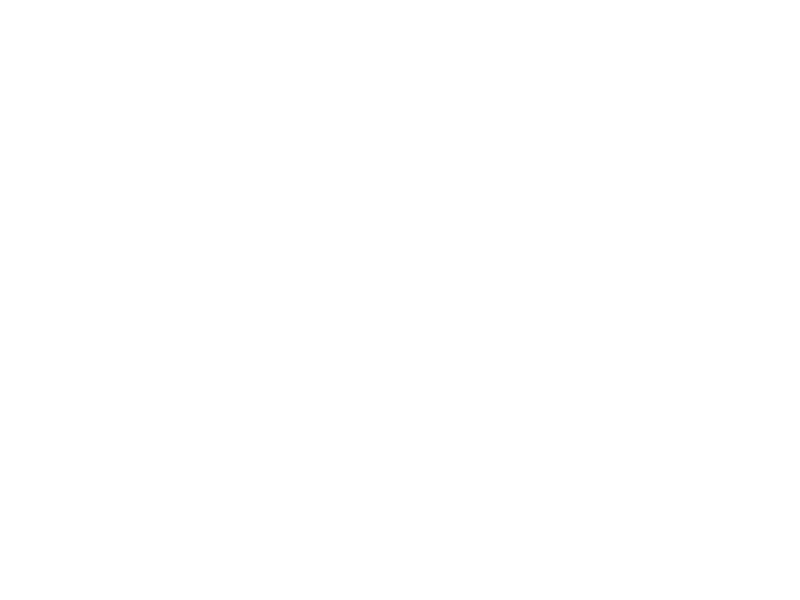 Sticker Tête Renard Mandala
