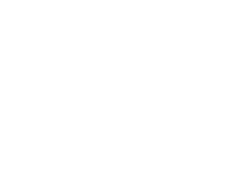 Sticker Famille Hibou