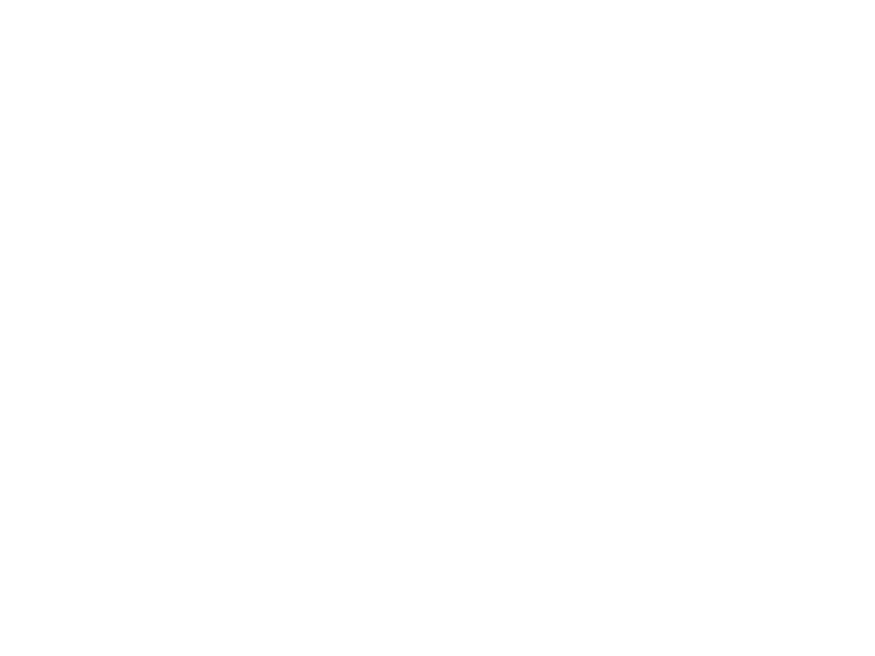 Autocolante Gato Angora
