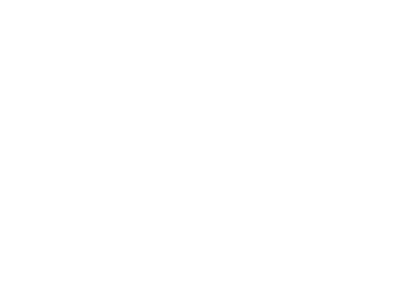 Sticker Evolution Singe / Homme