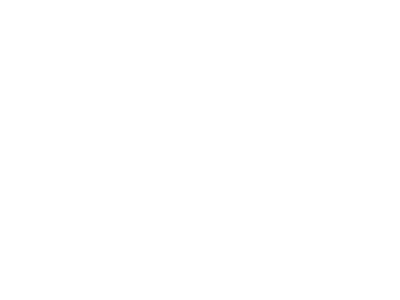 Sticker Surfer
