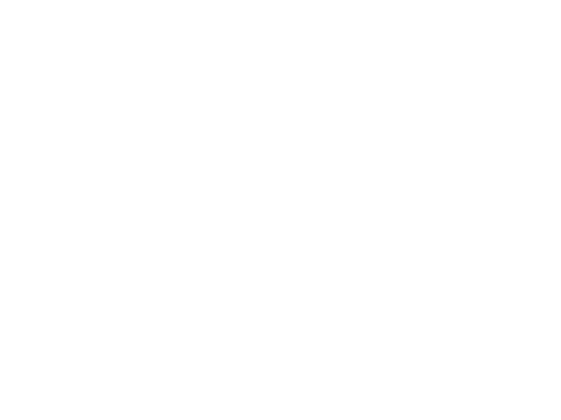 Sticker Branche Cage Oiseaux 3