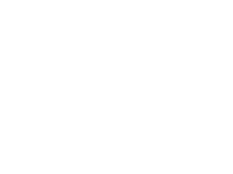 Sticker Arbre de Vie 2