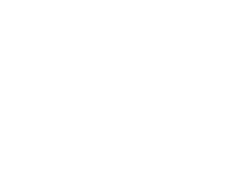 Sticker Geko