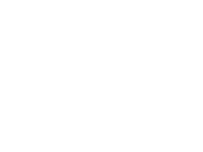 Sticker Dragon Chevalier