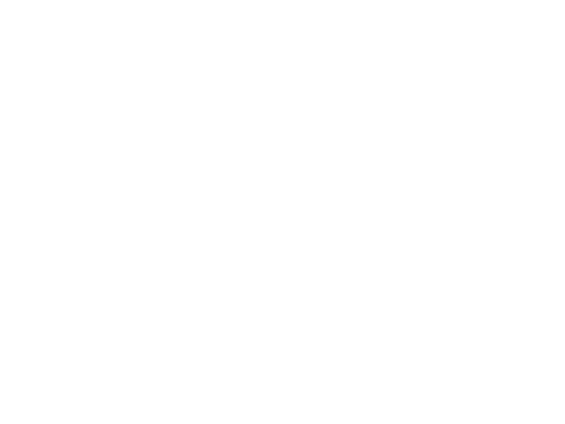 Sticker Pack Deco Cactus