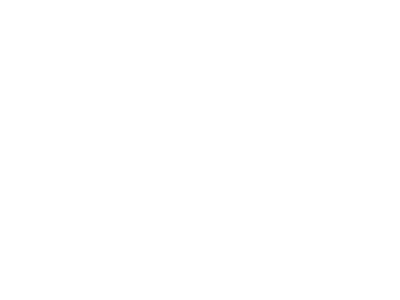 Sticker Fée Papillon