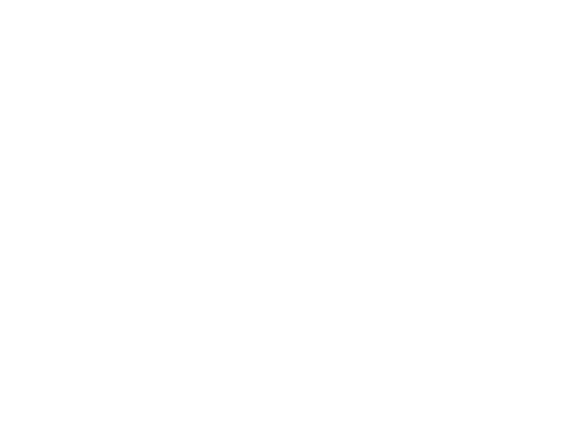 Sticker Vol Papillons