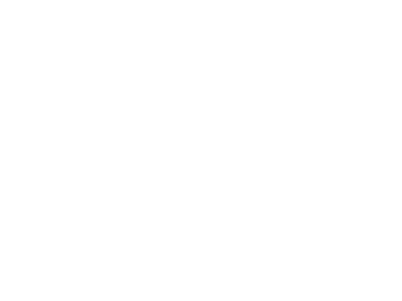Sticker Arbres Pin Parasol
