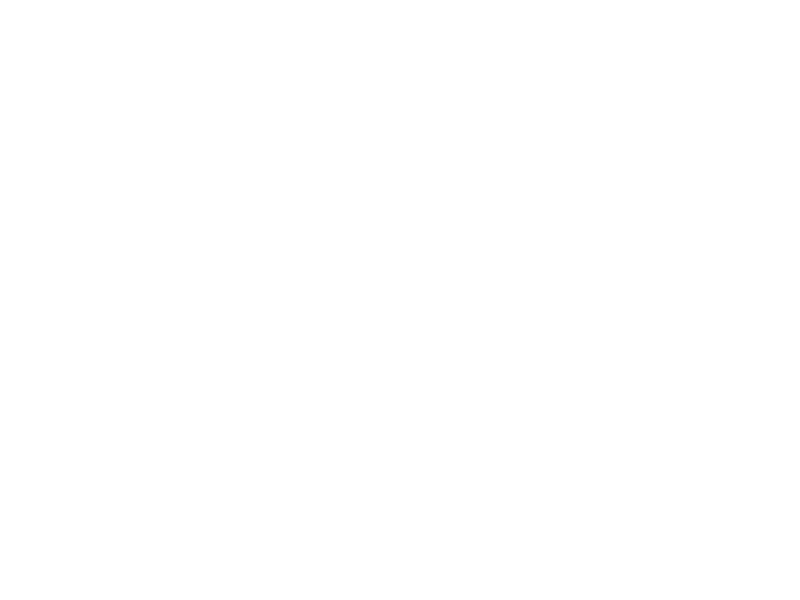 Sticker Rosace Illusion 2