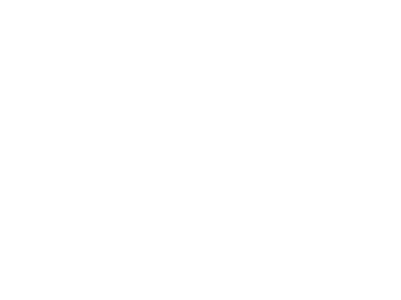 Sticker Carpe Diem