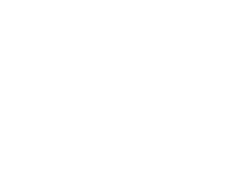 Sticker Arbre Bambou 11