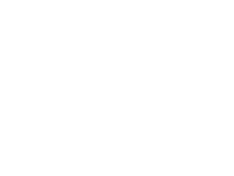 Sticker Cage Oiseaux Libellules