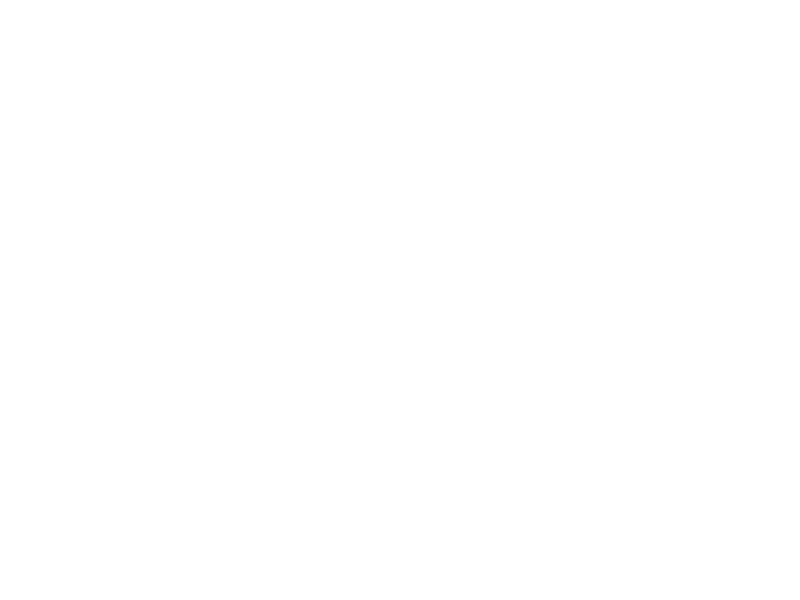 Sticker Porsche 2