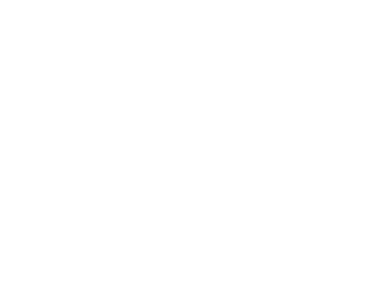 Sticker Arbre de Vie 5