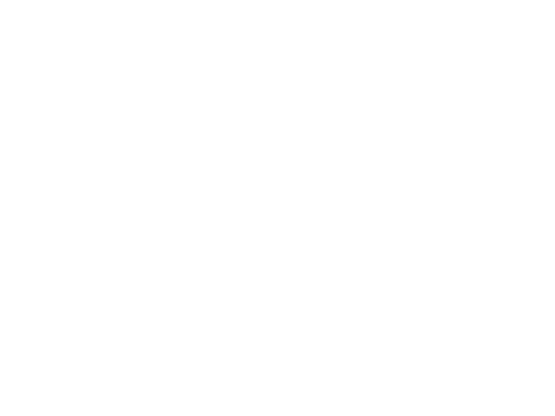 Sticker Arbre de Vie 3