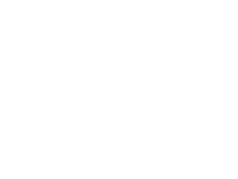 Sticker Plumes Boho