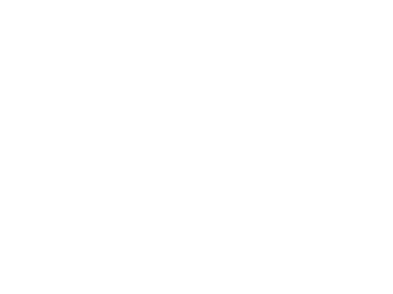 Sticker Poney