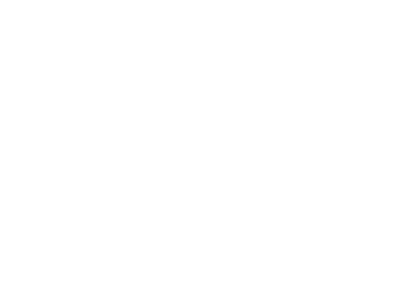 Sticker Arbres Palmiers