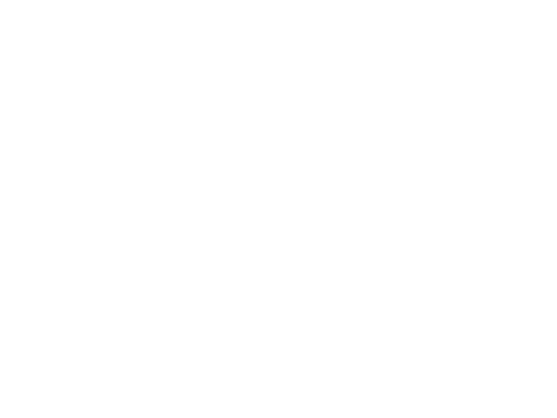 Sticker Frise Dinosaure