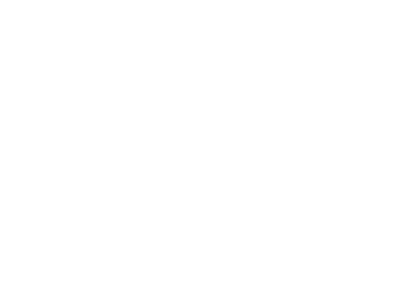 Sticker Zèbre Enfant