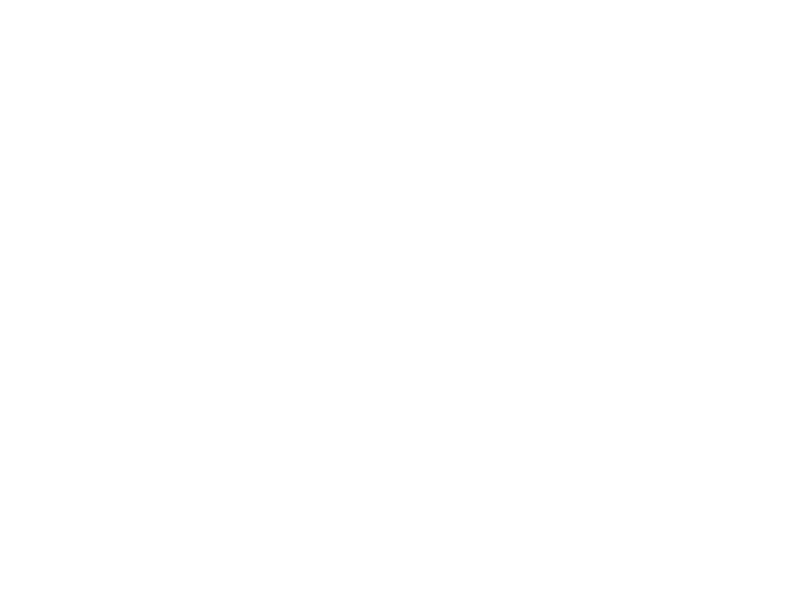 Sticker Cages à Oiseaux