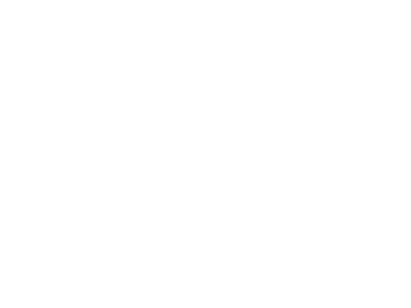 Sticker Tête de Cheval 2