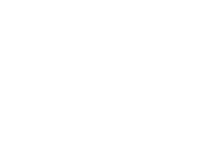Autocolante Paisagem Suricatas
