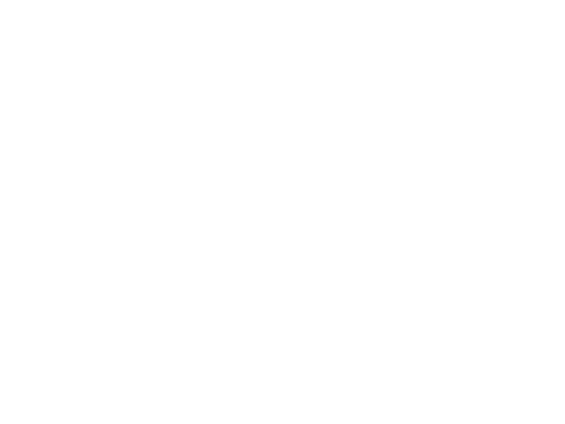 Sticker Soldes Petites fleurs