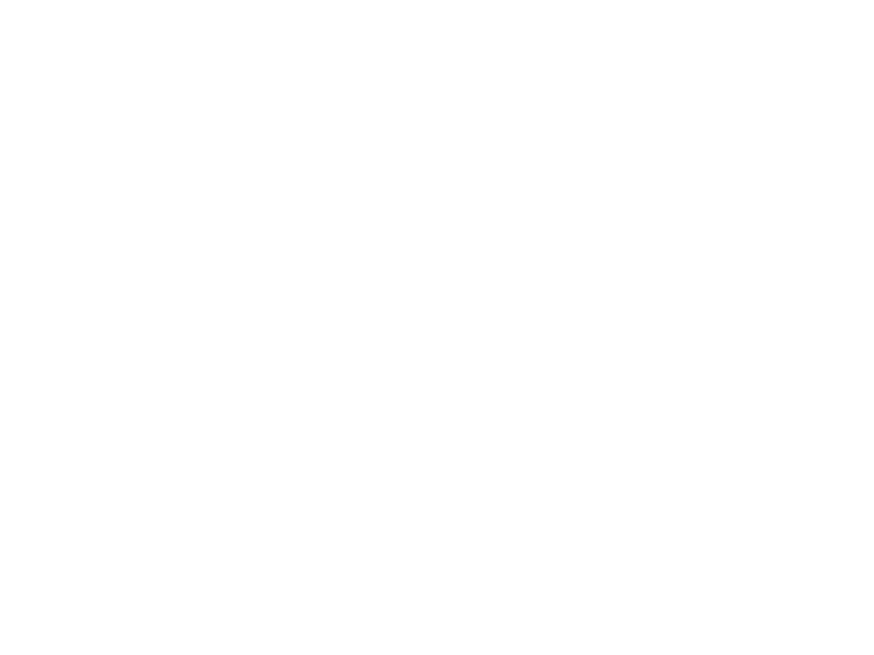 Autocolante Coelho Estrellas