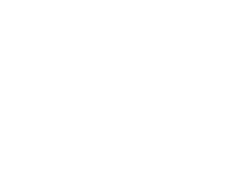 Sticker Arbres Bouleaux