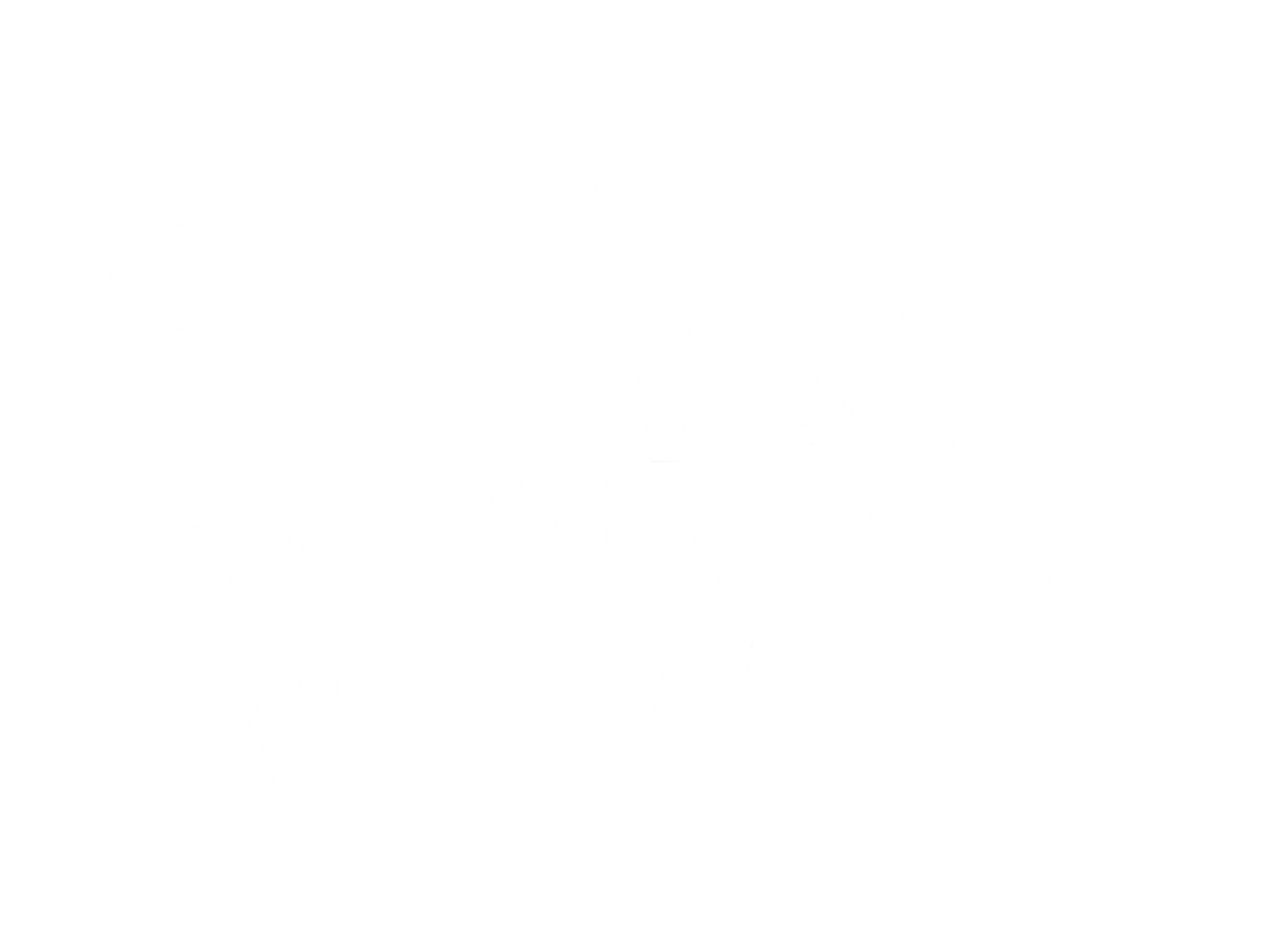 Sticker Mappemonde Frontières