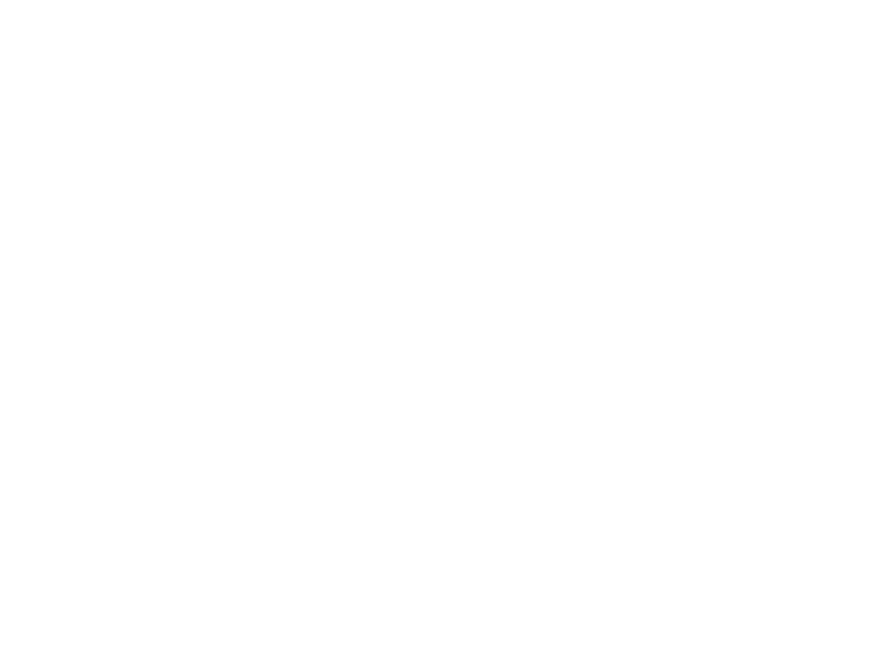 Sticker Fleurs Oiseaux