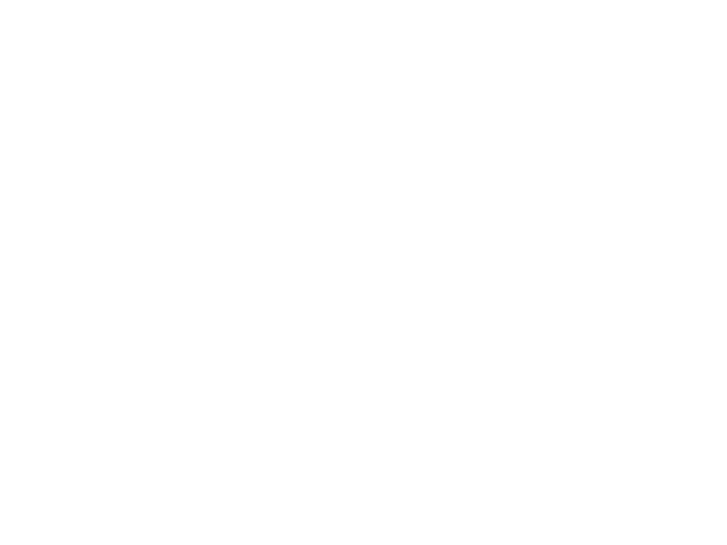 Sticker Cerf Boho