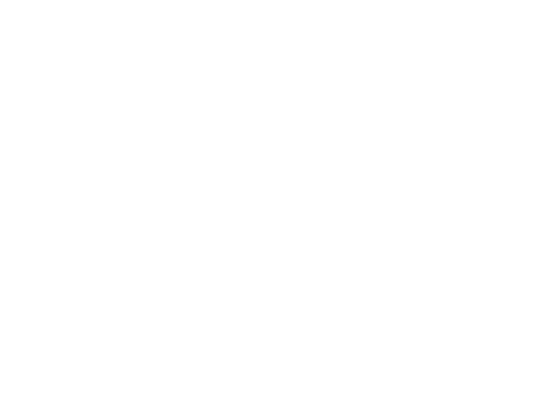 Sticker Casque Chevalier
