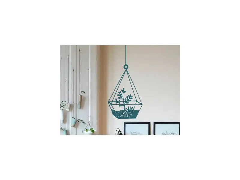 Sticker mural Cactus Cactus Suspendu résultat en situation gros plan Sticker Cactus Suspendu